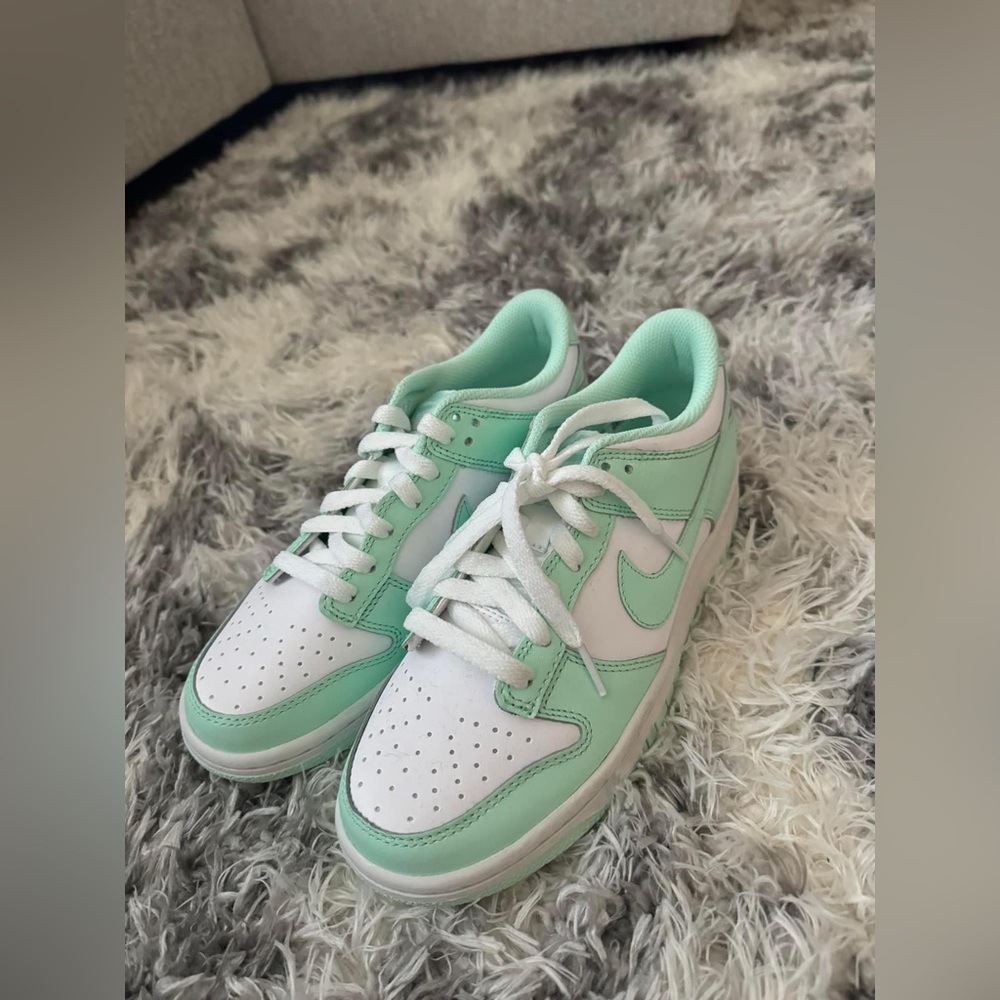 BRAND NEW DUNKS